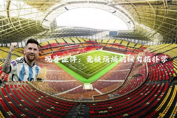 观赛证件:竞技场域的权力拓扑学